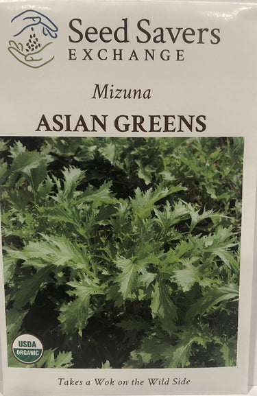 Mizuna Asian Green, Organic